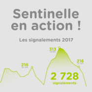 Découvrez les chiffres Suricate 2017...Sentinelle en action !