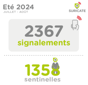 Les signalements de l'été 2024