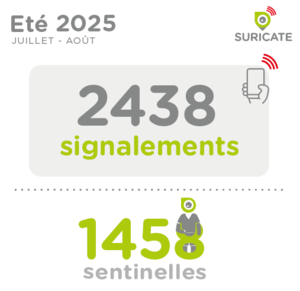 Les signalements de l'été 2025