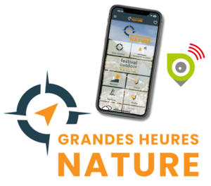 Suricate sur Grandes Heures Nature